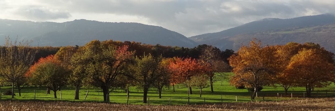 L’automne