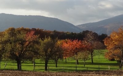 L’automne