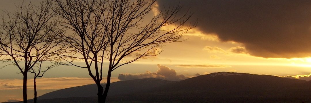 Le chemin de mon coeur