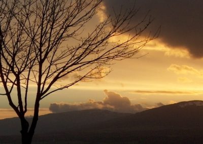 Le chemin de mon coeur