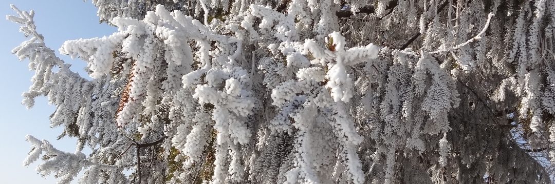 Poésie hivernale