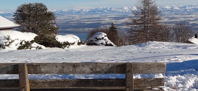 Banc Bullet 12.2.15