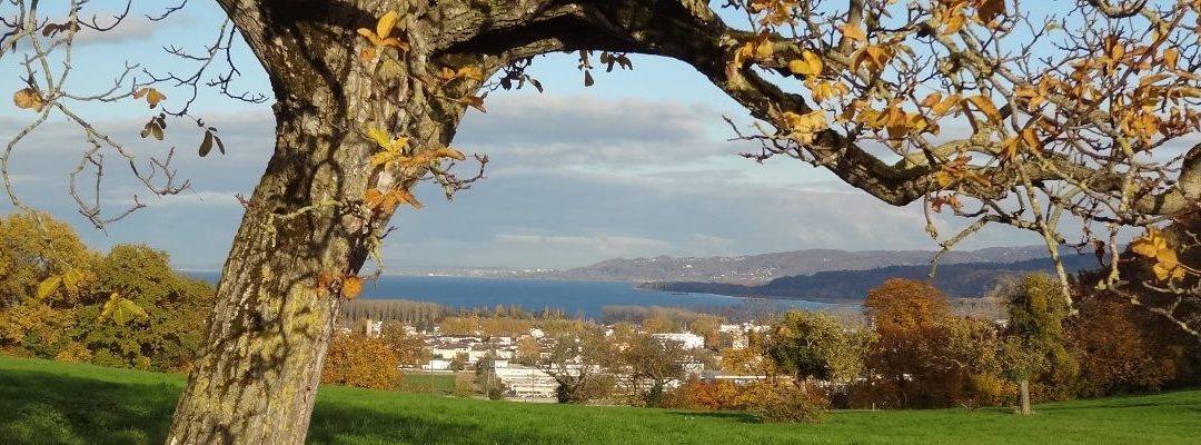 Poèmes d’automne