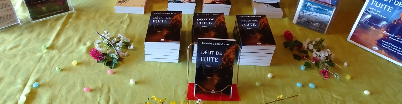 Vernissage Délit de fuite 1.04.17