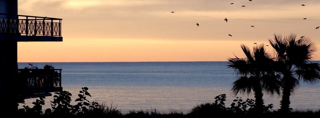 Concours « Témoignages confinés »