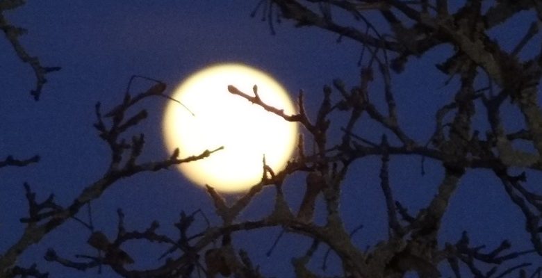 Lune Chamblon