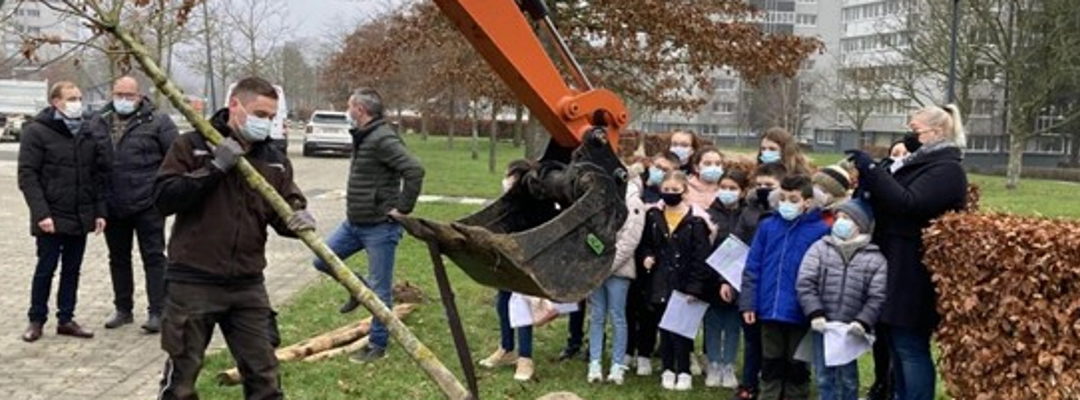 Béthune “Plan 3000 arbres” “Je voudrais être un arbre”