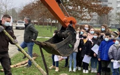 Béthune “Plan 3000 arbres” “Je voudrais être un arbre”