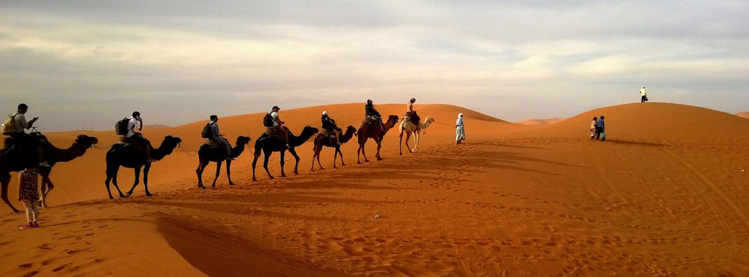 Les hommes aboient, les femmes passent