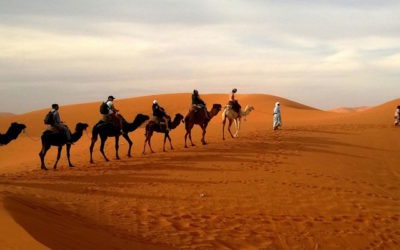 Les hommes aboient, les femmes passent