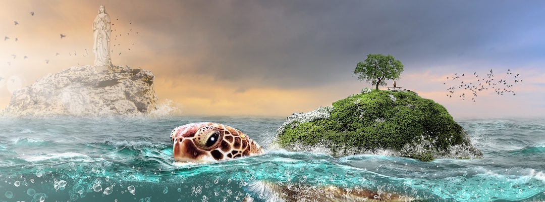 Image illustrant le poème Des tortues et des femmes de Catherine Gaillard-Sarron